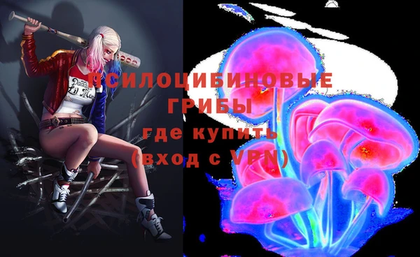 кокс Нефтекумск