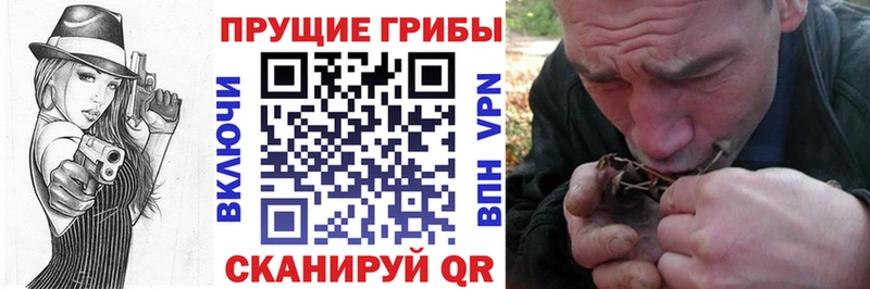 Галлюциногенные грибы мухоморы  shop телеграм  Щёкино 